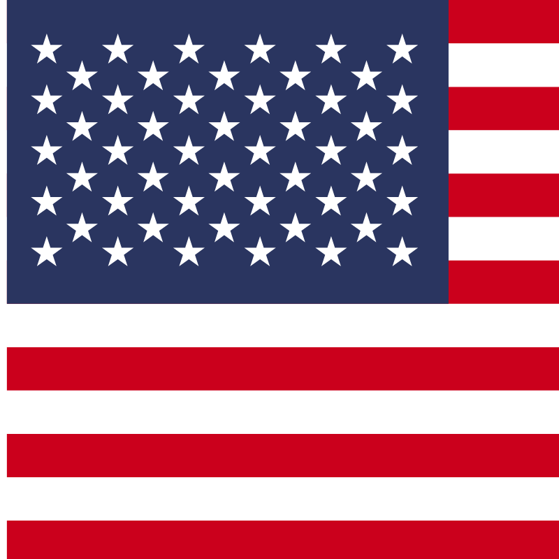 Bandera USA